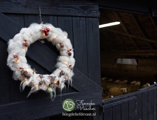 Ik leg de liefde vast voor hei en wol bij de kerstmarkt in Rheden